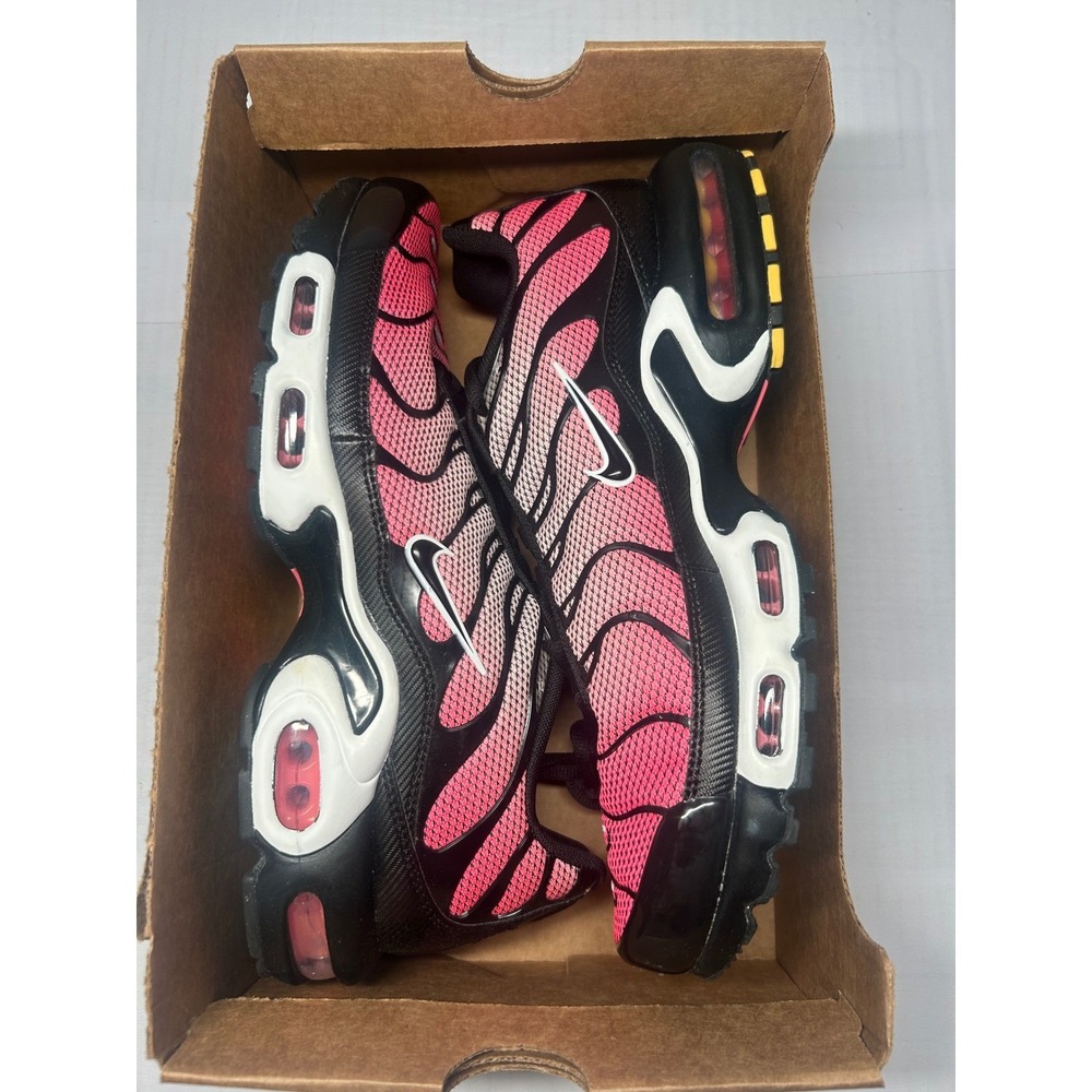 Nike Air Max Plus 'All Day' Size 11.5 Men HF3837 600 New/No Box